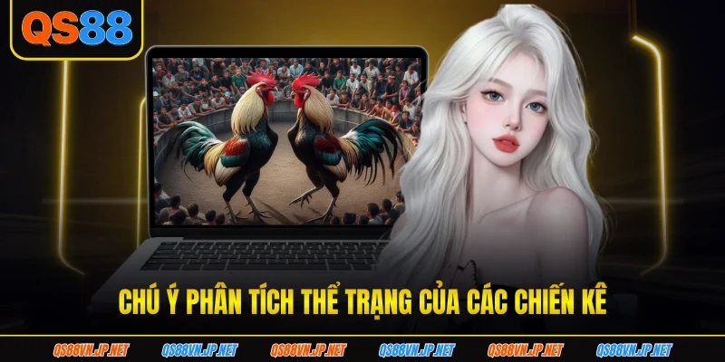 Chú ý phân tích thể trạng của các chiến kê da-ga-thomo-the-trang-ga-da Chú ý phân tích thể trạng của các chiến kê da-ga-thomo-the-trang-ga-da