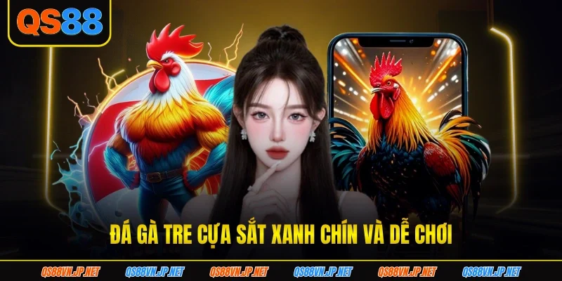 Đá gà tre cựa sắt xanh chín và dễ chơi Đá gà tre cựa sắt xanh chín và dễ chơi